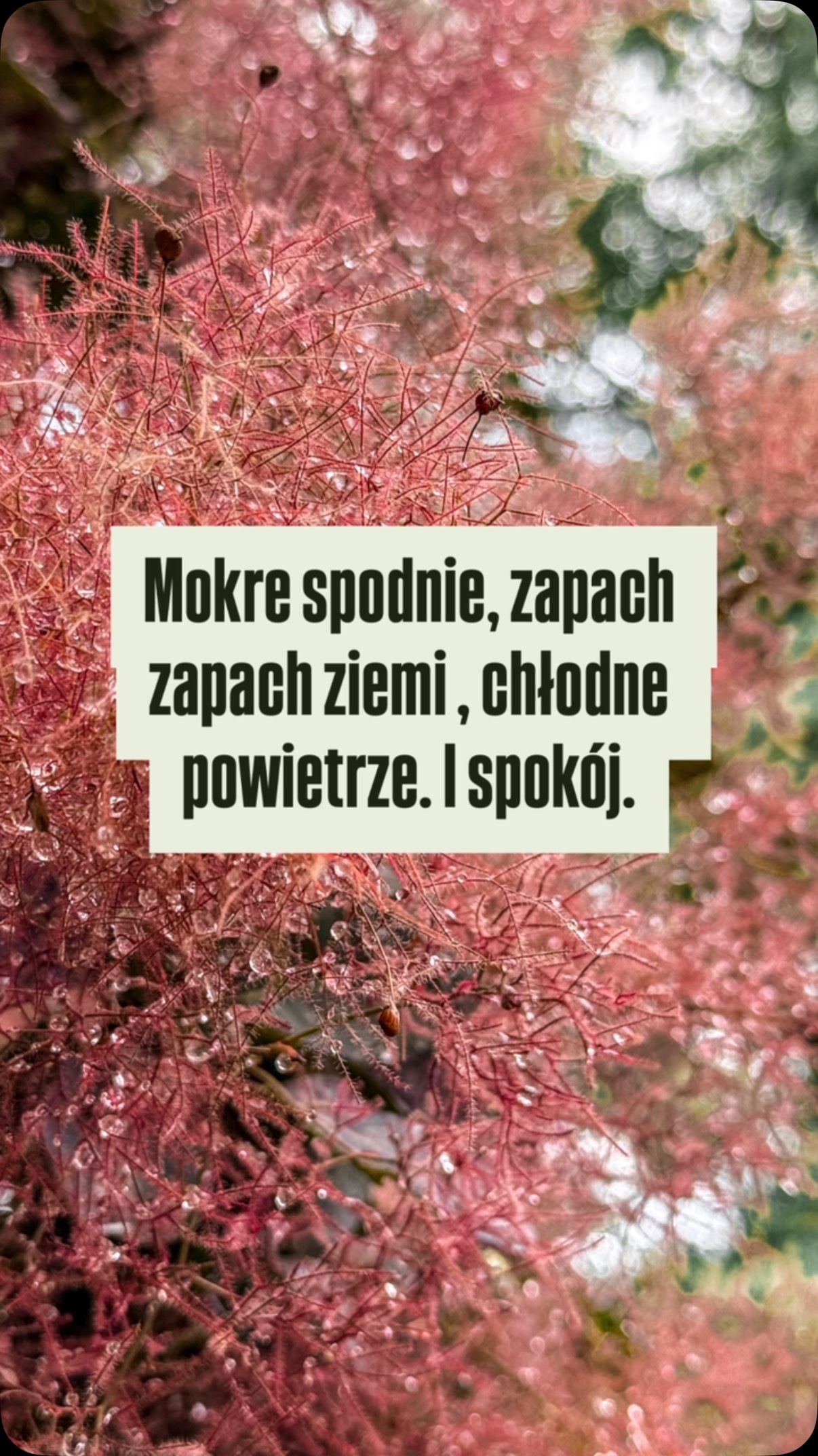 Tego spokoju Ci dziś życzę. Niezależnie od pogody.

Z serdecznością.

#spokój #refleksja #wzgodziezesobą